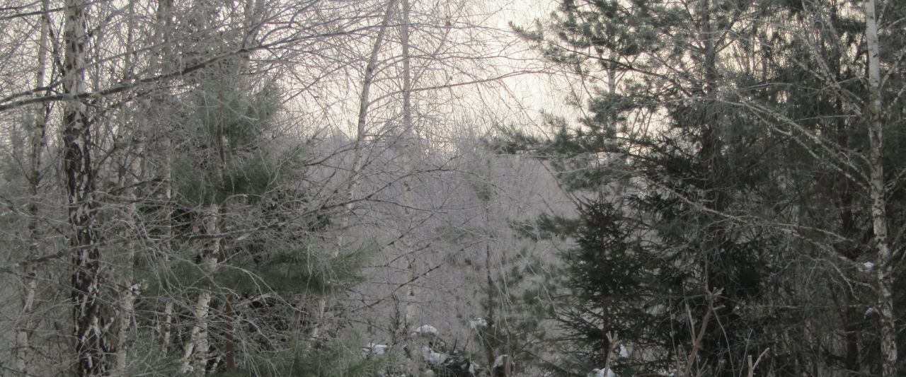 земля городской округ Рузский д Лобково фото 1