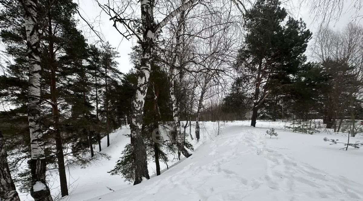 земля городской округ Истра д Лешково Нахабино фото 20