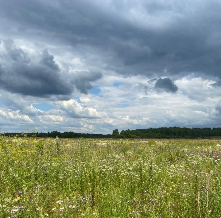 земля городской округ Дмитровский фото 3