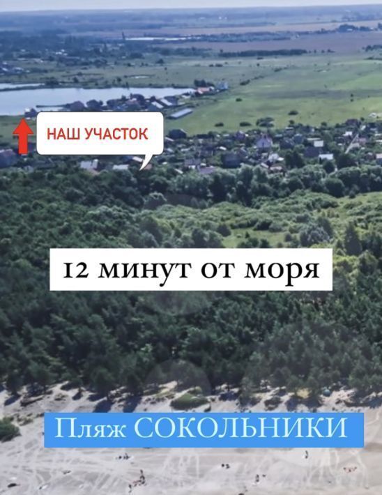 земля р-н Зеленоградский п Сокольники Зеленоградский муниципальный округ фото 3