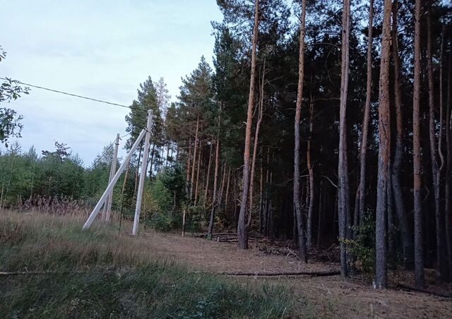 земля д Федоровка снт тер.Луговое Бокино фото