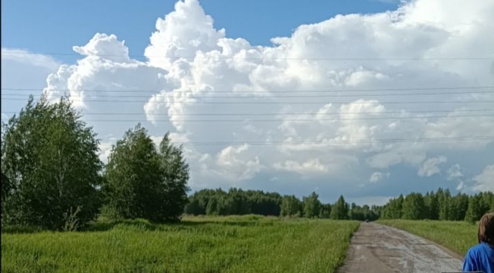 земля р-н Новосибирский с Ленинское тер Поселок Новониколаевский ДНТ Морской сельсовет, Северо-Восточный квартал, Верх-Тула фото 1