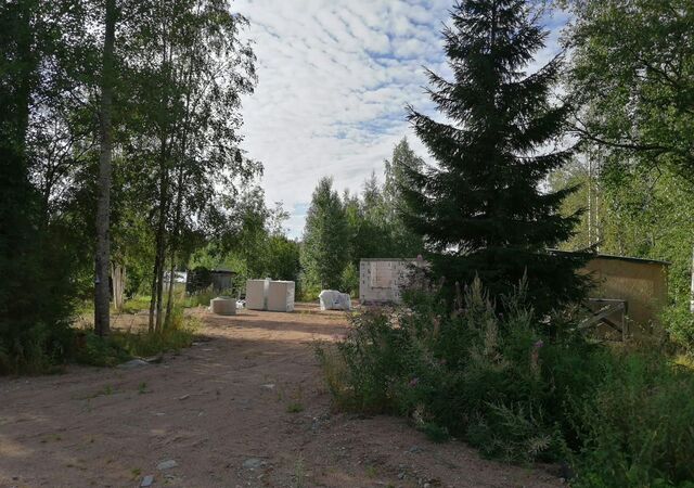 Трасса Скандинавия, 85 км, Советское городское поселение, СНТ Лазурное фото