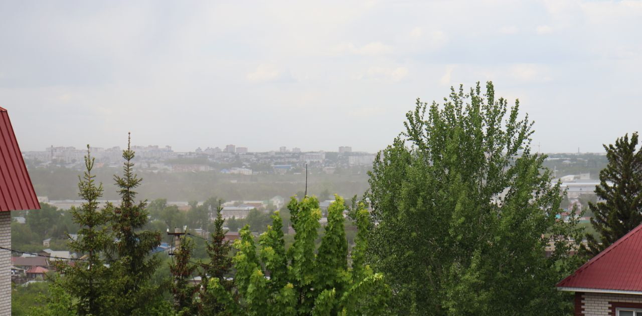 дом г Барнаул р-н Центральный ул Мамонтова 341 фото 29