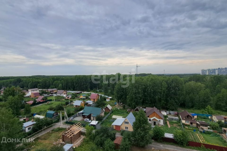 квартира г Новосибирск ул Твардовского 22/6 Новосибирск городской округ фото 6