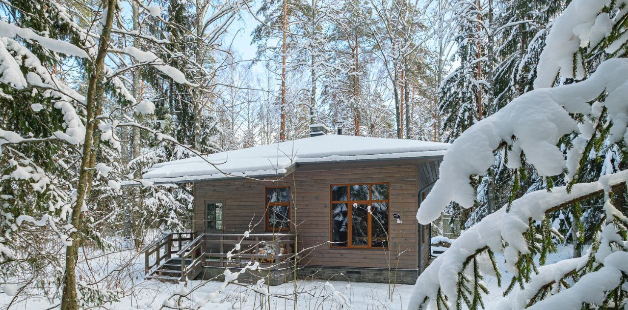 земля р-н Всеволожский п Западная Лица Сертоловское городское поселение, Проспект Просвещения фото 4