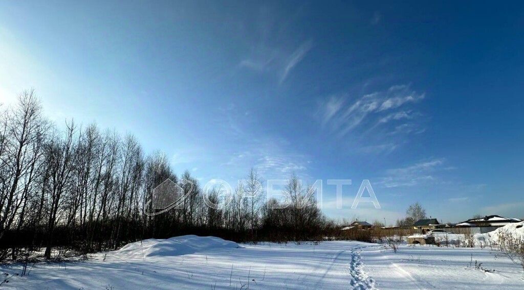 земля р-н Тюменский д Пышминка ул Молодежная 5 фото 2