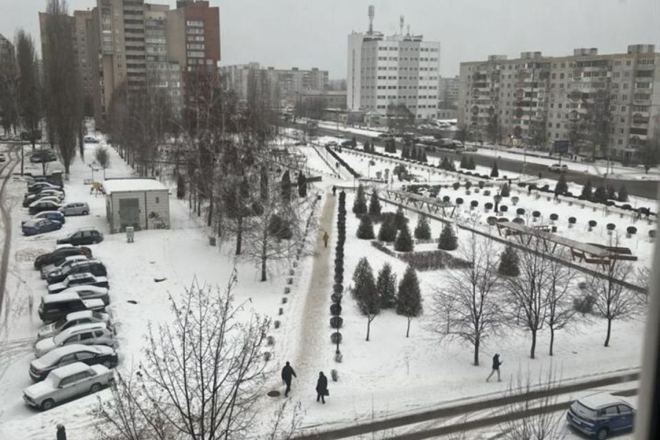 квартира г Старый Оскол 1а, Старооскольский городской округ фото 9