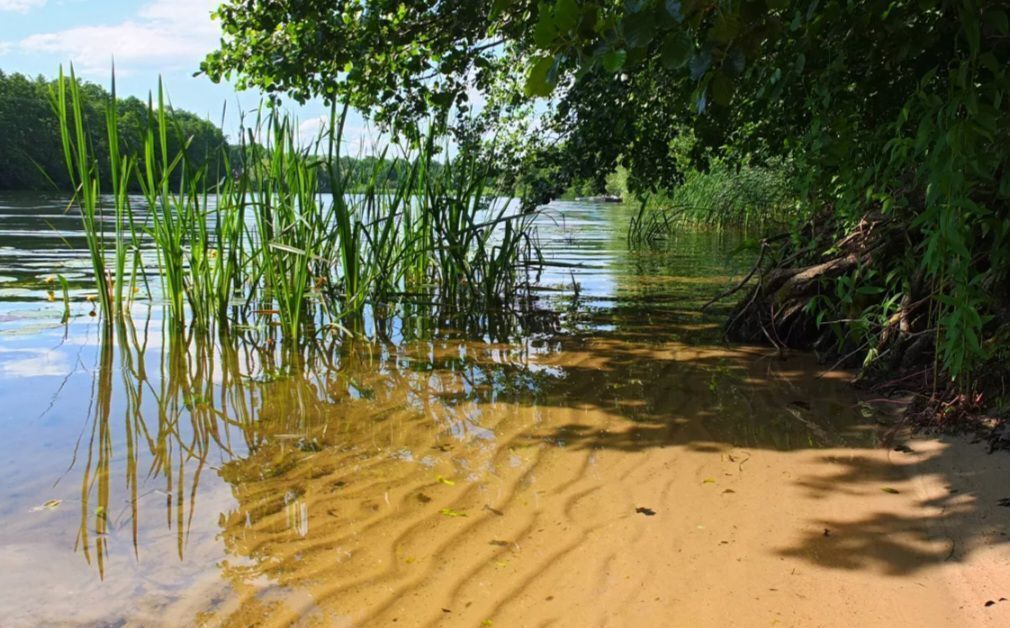 земля г Воронеж р-н Железнодорожный фото 2