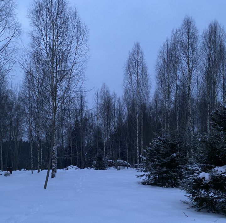 земля городской округ Дмитровский Космынка Светлая кп, ул. Армавирская фото 5