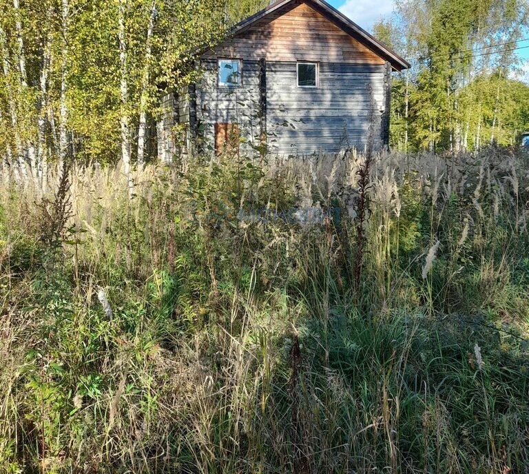 дом р-н Чкаловский д Колганово 44, городской округ Чкаловск фото 7