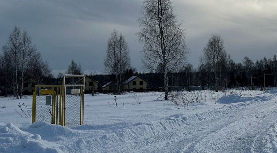 дом р-н Ярославский д Кормилицино ул Земляничная фото 7