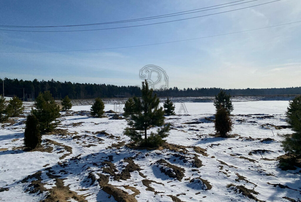 земля городской округ Богородский д Следово фото 21