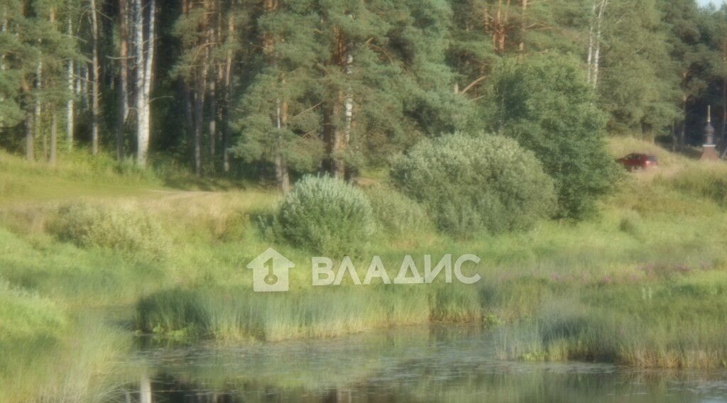 земля р-н Судогодский д Лухтоново Лавровское муниципальное образование фото 5