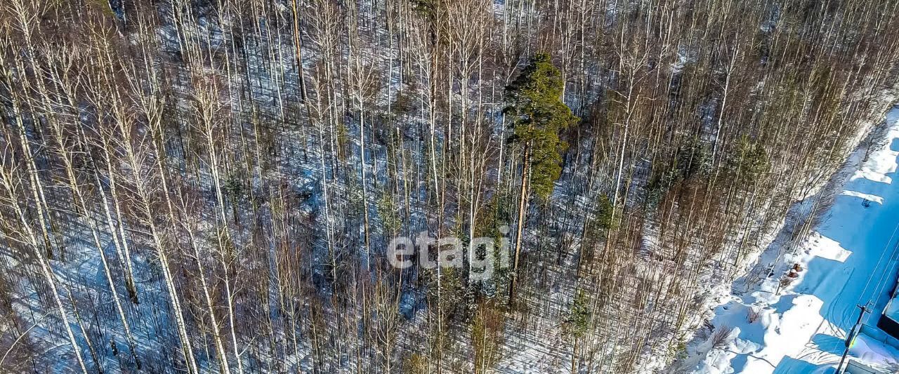 земля р-н Всеволожский массив Дунай Морозовское городское поселение фото 7