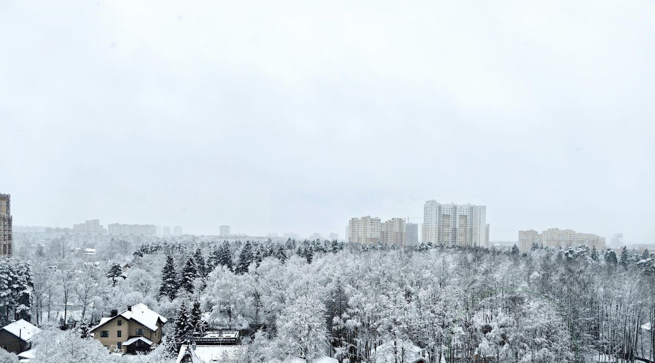 квартира г Пушкино ул Просвещения 4/1 фото 20