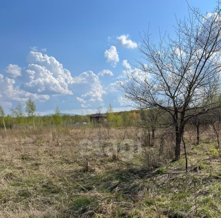 земля р-н Хабаровский с Сосновка Корфовское городское поселение фото 9