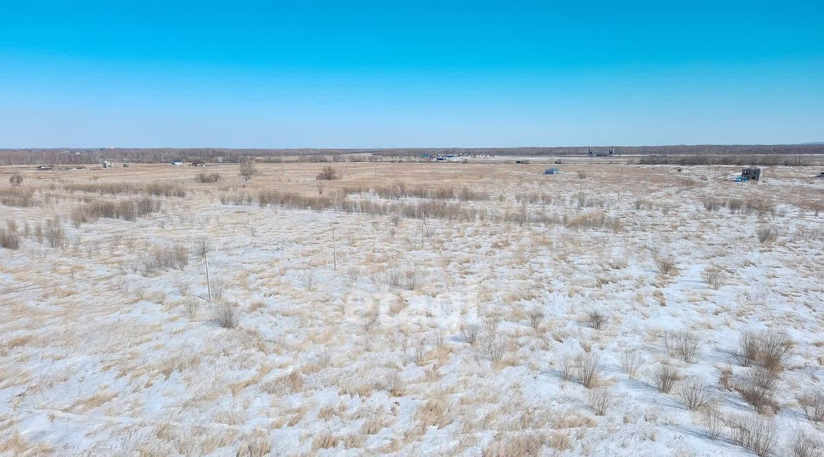 земля р-н Хабаровский с Ракитное Ракитненское сельское поселение фото 5