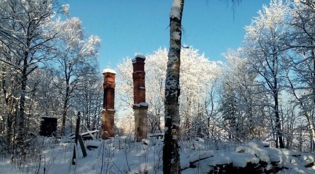 офис г Красное Село ш Гатчинское 56д р-н Красносельский фото