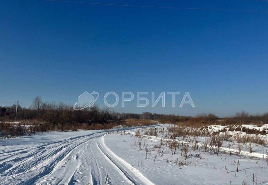 земля р-н Тюменский д Друганова Червишево фото 1