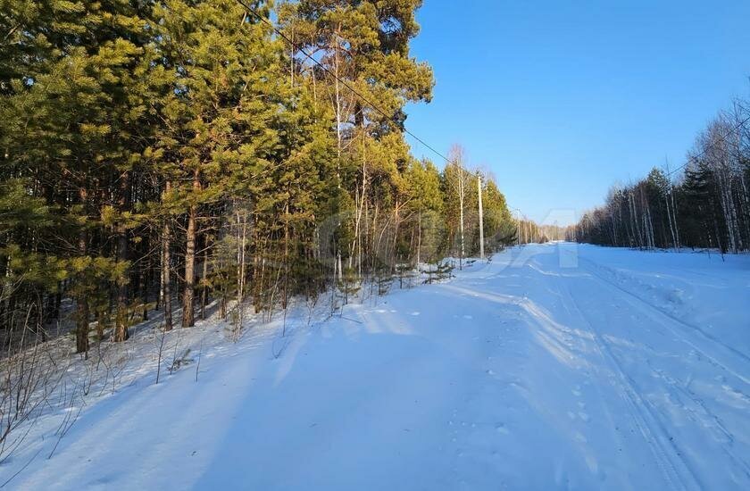 земля р-н Нижнетавдинский д Московка фото 4