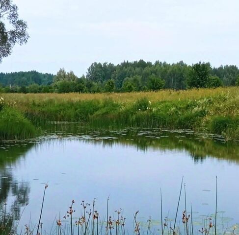 д Лытино ул Набережная Середское с/пос фото