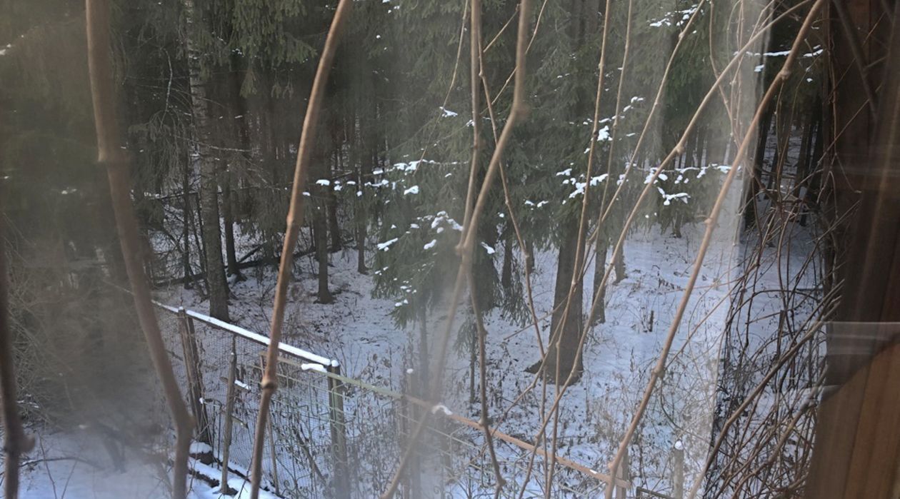 дом городской округ Наро-Фоминский Дорожник СНТ фото 43