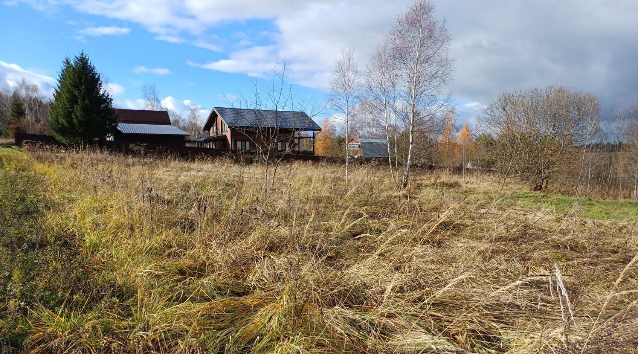 земля городской округ Наро-Фоминский д Дятлово фото 1