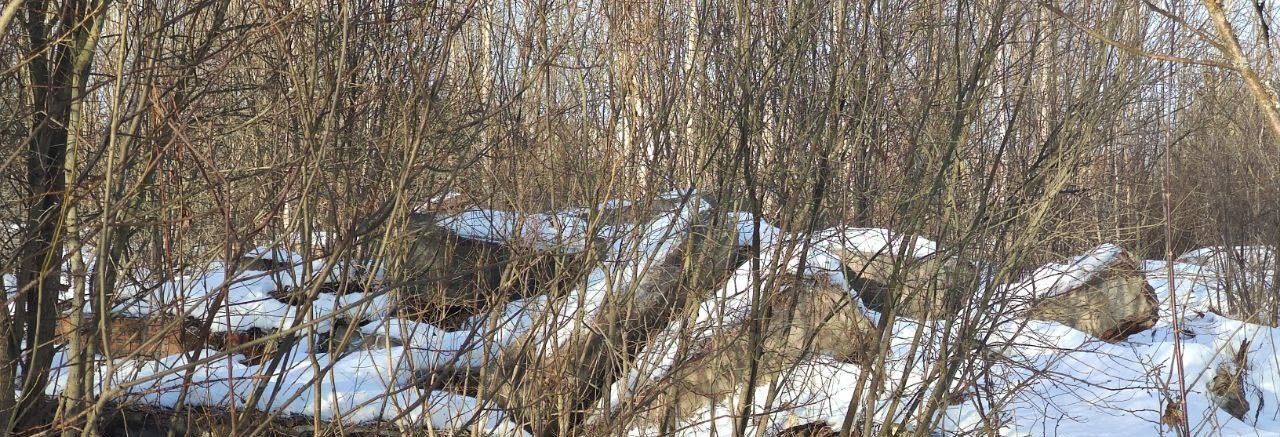 земля городской округ Талдомский п Запрудня ул Первомайская фото 2