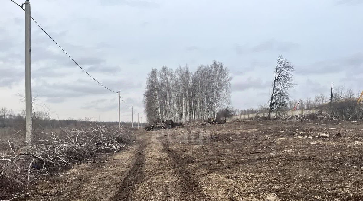 земля р-н Курский д Татаренкова Нижнемедведицкий сельсовет фото 5