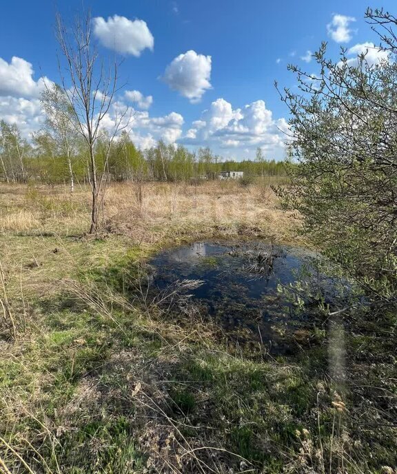 земля р-н Хабаровский с Краснореченское фото 1