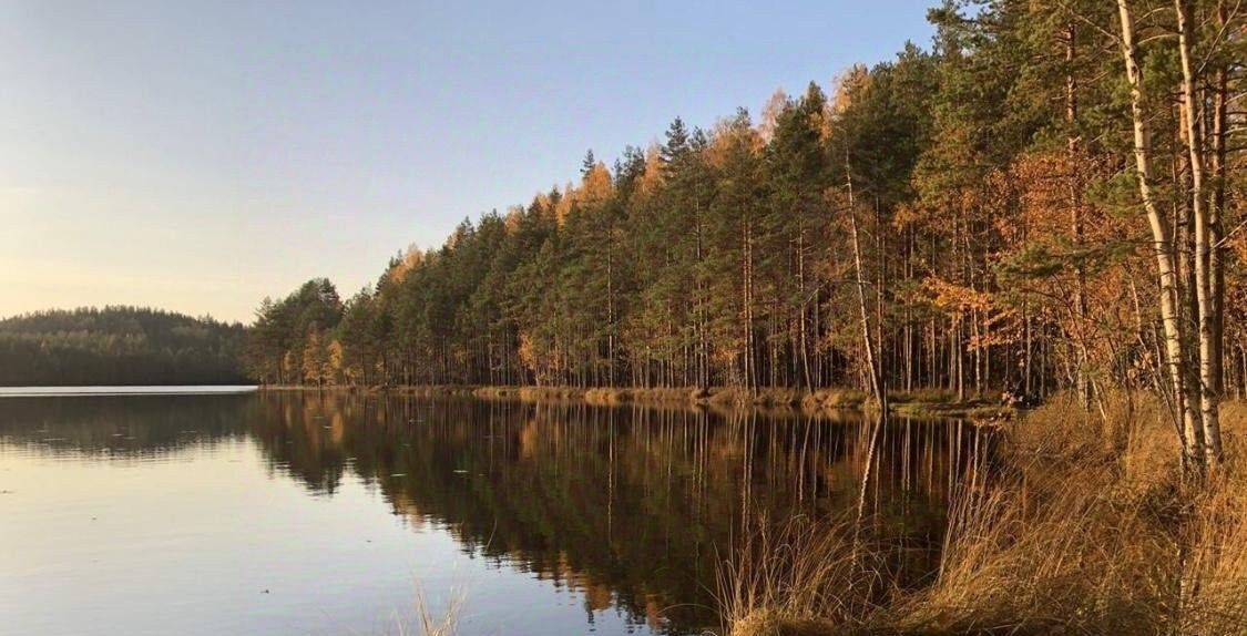 земля р-н Приозерский снт Флора Раздольевское с/пос, Парнас фото 1