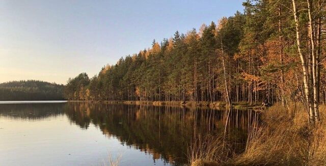 земля снт Флора Раздольевское с/пос, Парнас фото