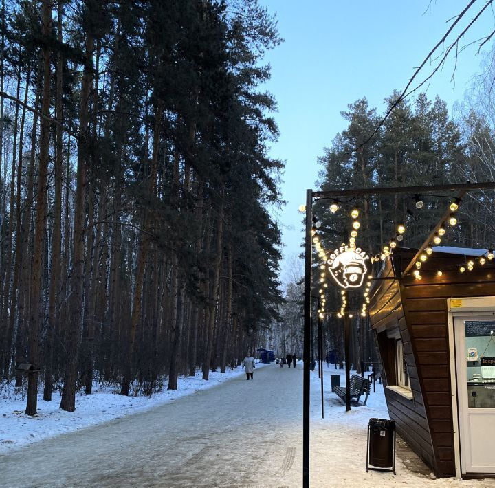 квартира г Челябинск р-н Курчатовский ул Звенигородская 62 фото 28