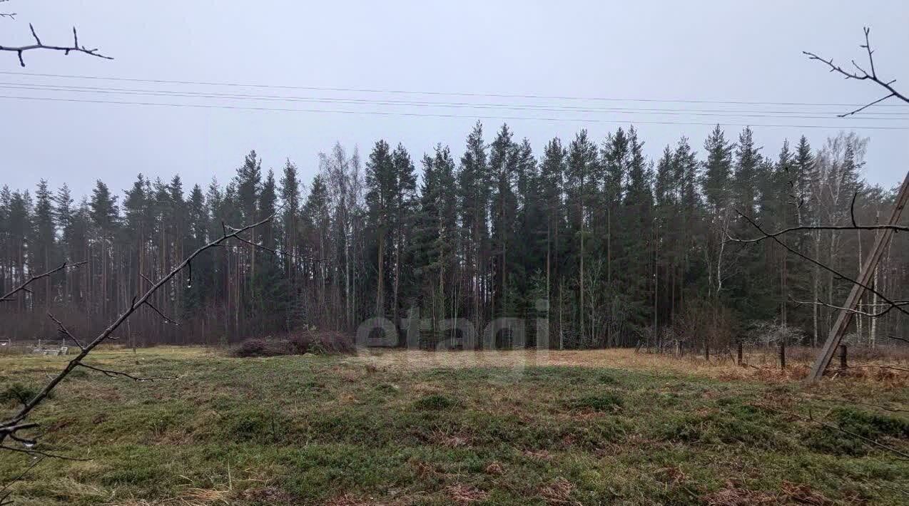 земля р-н Всеволожский Рахьинское городское поселение, Ладожское СНТ фото 6