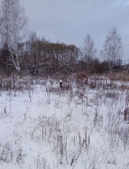 земля городской округ Егорьевск д Власовская фото 1