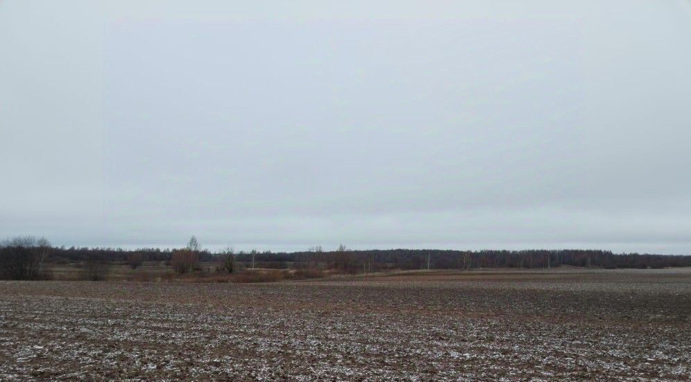 земля городской округ Дмитровский д Трехденево фото 1