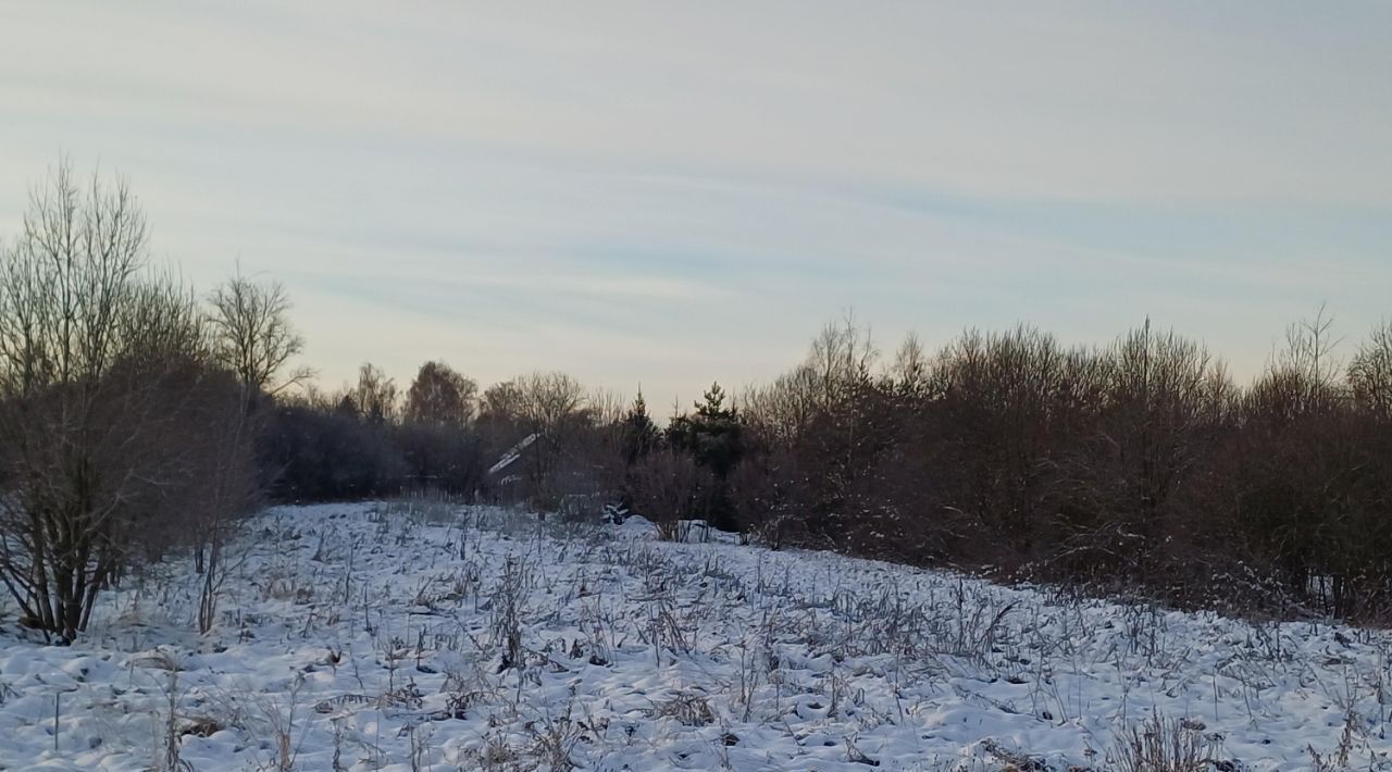 земля городской округ Наро-Фоминский д Волчёнки фото 2