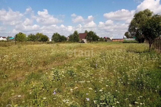 Курган городской округ, Зайково фото