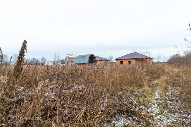 земля снт Поле чудес-2 ул Полевая Тюмень городской округ фото