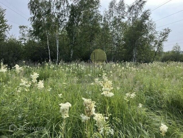 земля Дмитрия Давыдова, Иркутск городской округ фото