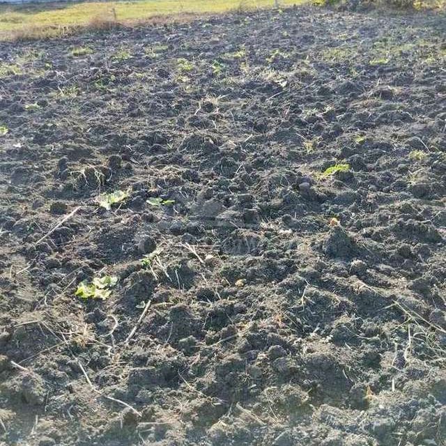 земля г Тюмень Тюмень городской округ, Коттеджный посёлок на Липовом фото 2