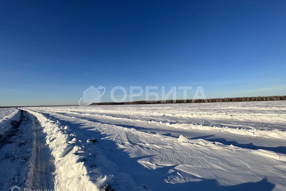 земля р-н Тюменский с Горьковка Совхозная фото 2