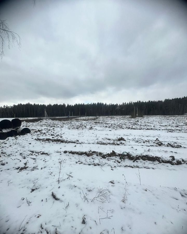 земля городской округ Солнечногорск д Курилово 41 км, 103Г, Солнечногорск, Пятницкое шоссе фото 5