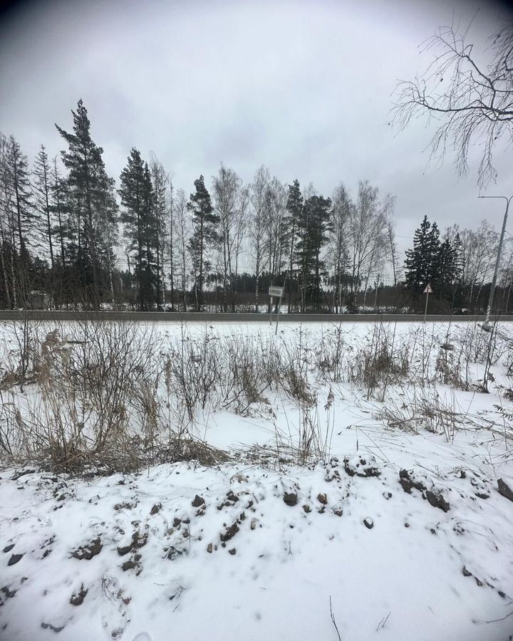 земля городской округ Солнечногорск д Курилово 41 км, 103Г, Солнечногорск, Пятницкое шоссе фото 10