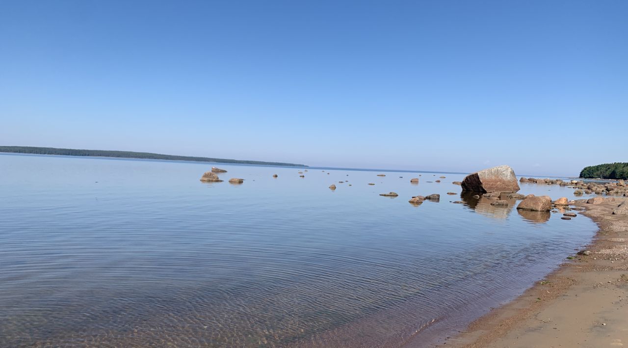 дом р-н Выборгский п Вязы Приморское городское поселение фото 33