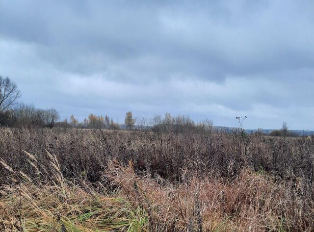 городской округ Ступино с Большое Алексеевское фото