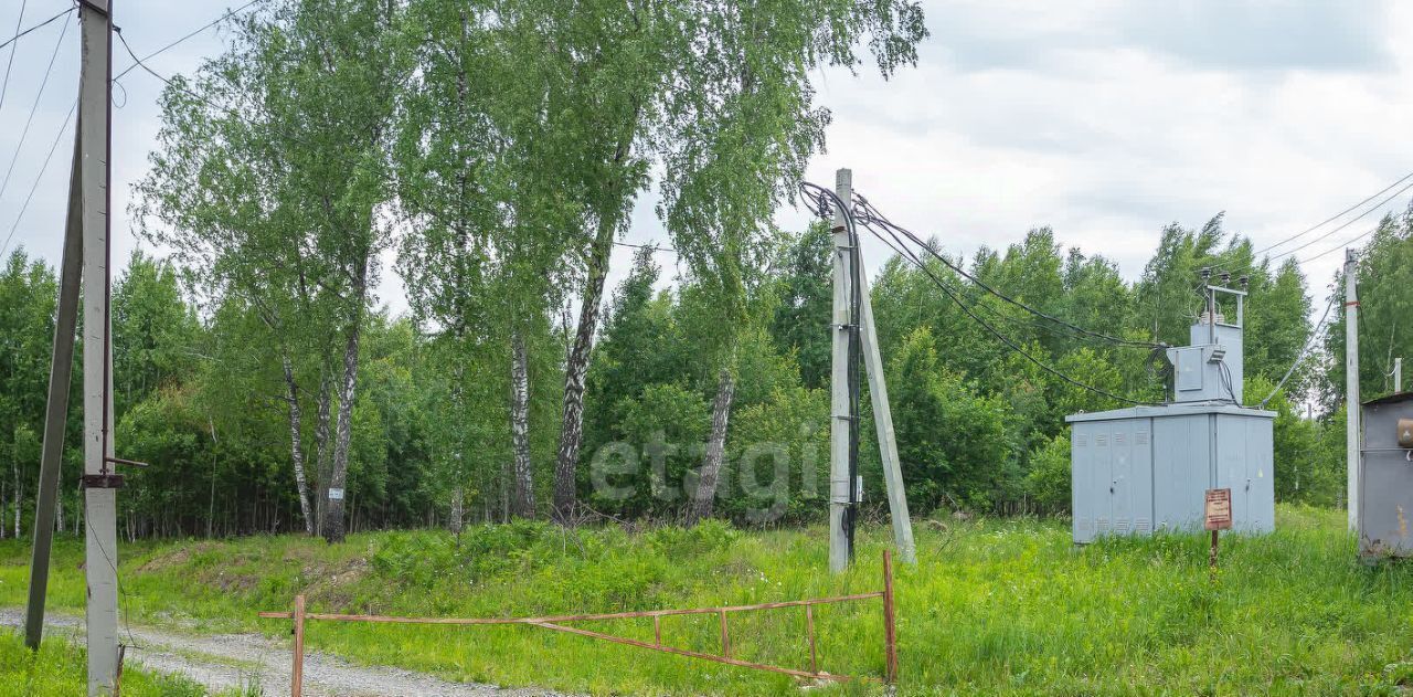 земля р-н Новосибирский с Ленинское снт Берег Барышевский сельсовет, ДНТ, 8, Лазурный фото 1