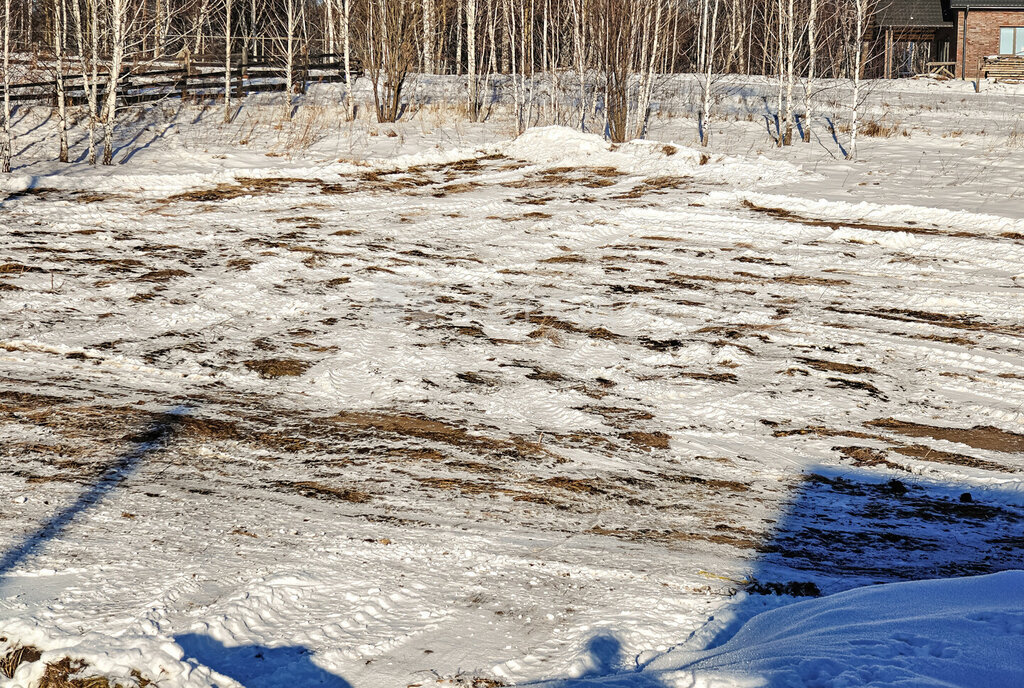 земля г Новосибирск метро Площадь Гарина-Михайловского ул Приозерная село Раздольное фото 8