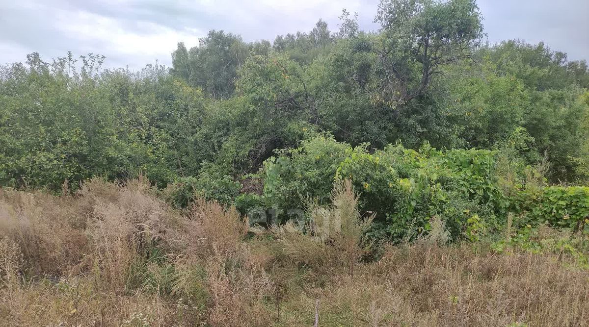 земля р-н Старооскольский с Курское ул Ветеранов Старооскольский городской округ фото 9